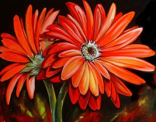 Герберы Марсии Болдуин - оригинал