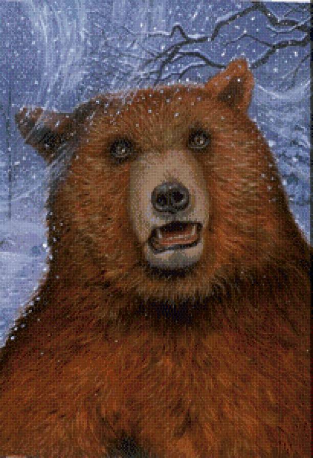 медведь - животные.медведь. - предпросмотр