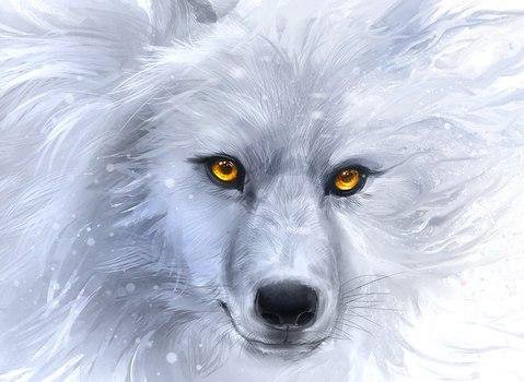 Снежный волк - снег, белый, животные, волк, зверь - оригинал