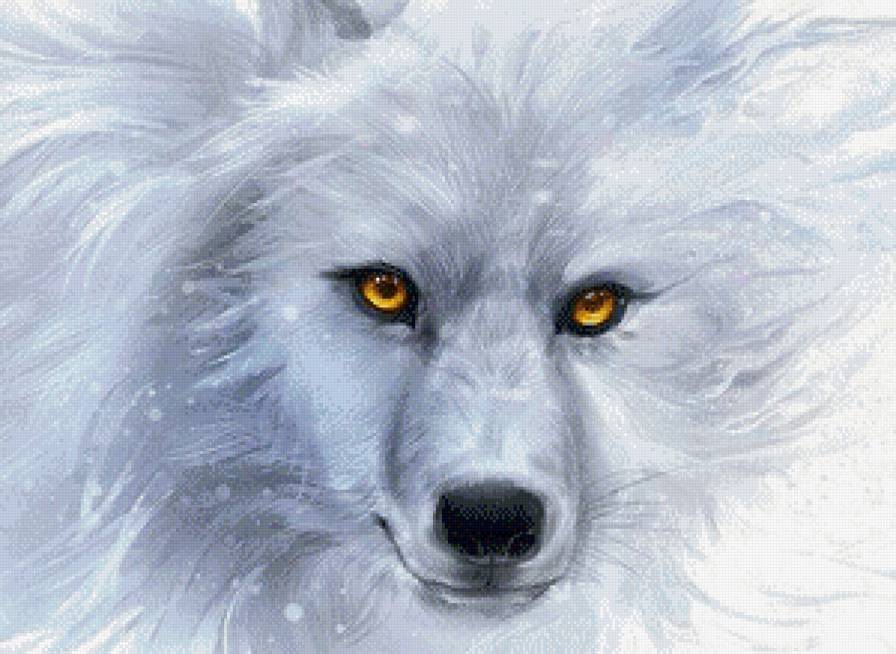 Снежный волк - животные, белый, зверь, снег, волк - предпросмотр
