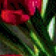 Предпросмотр схемы вышивки «Тюльпаны» (№467323)
