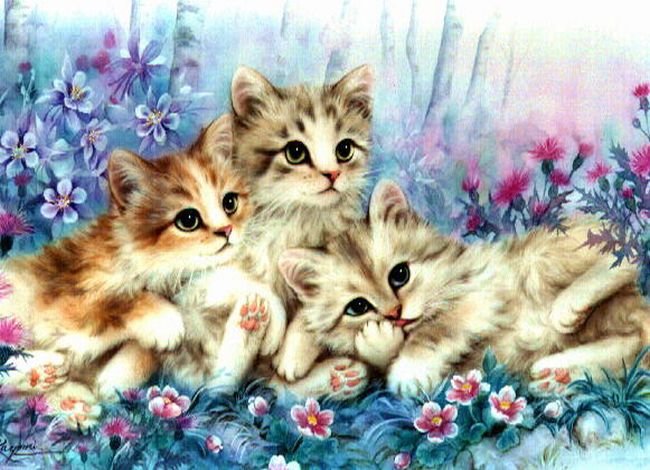Котята - кошки - оригинал
