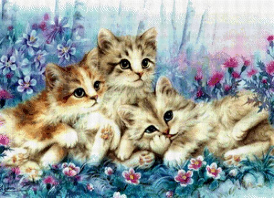 Котята - кошки - предпросмотр