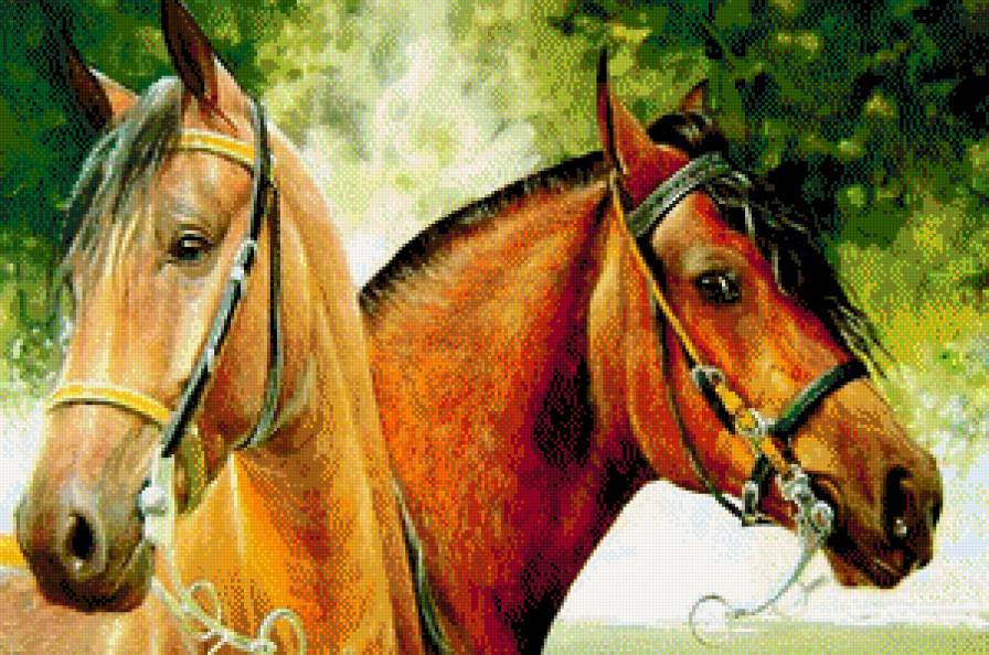 кони - лошади картина - предпросмотр
