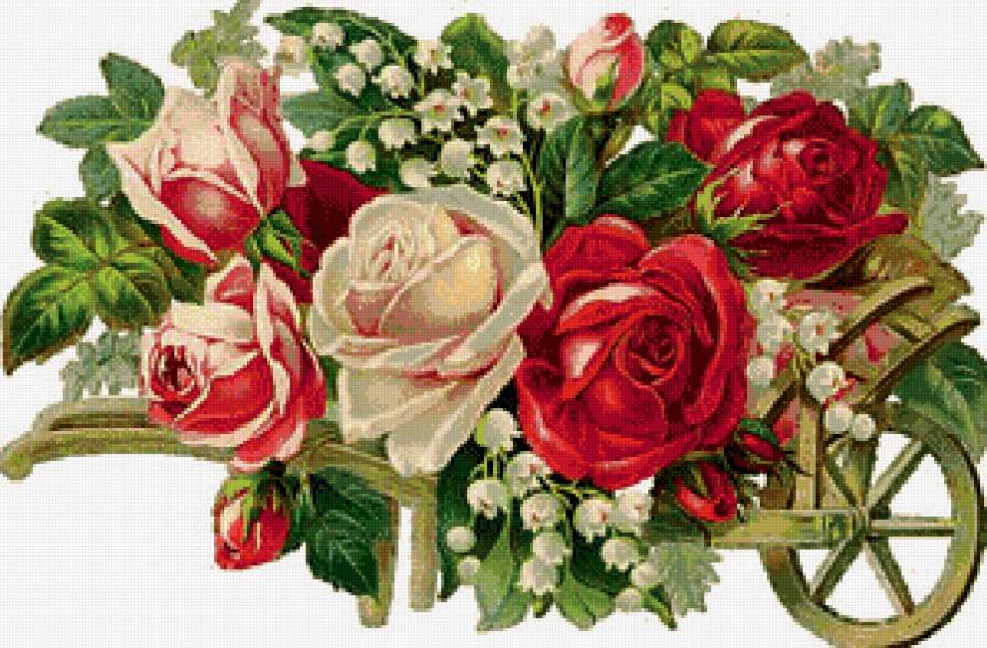 розы - цветы - предпросмотр