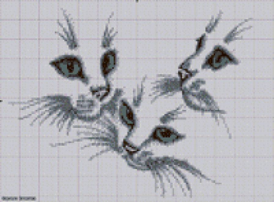 Коты - коты, монохром, животные - предпросмотр