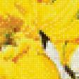 Предпросмотр схемы вышивки «бабочки» (№467629)