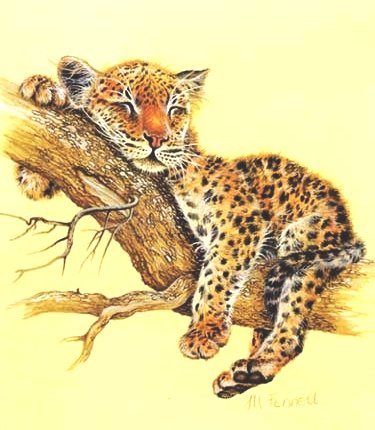 №467646 - оригинал