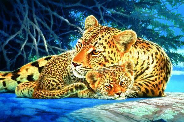 №467649 - оригинал