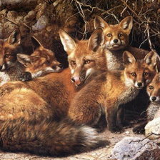 Схема вышивки «Лисье семейство»