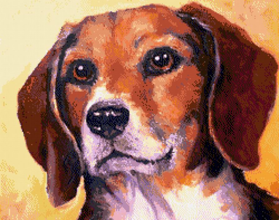 друг Мрсия Болдуин - друг, животные, собака - предпросмотр