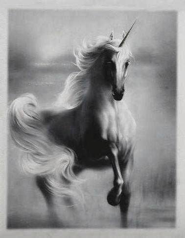 Единорог - единорог, лошадь - оригинал