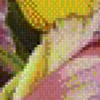 Предпросмотр схемы вышивки «Цветы. Хилари Эдди» (№468108)