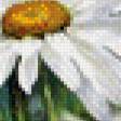 Предпросмотр схемы вышивки «Ромашечки» (№468201)