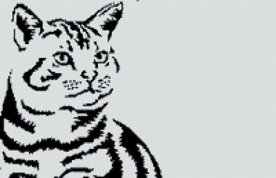Кот - монохром, животные, коты - предпросмотр