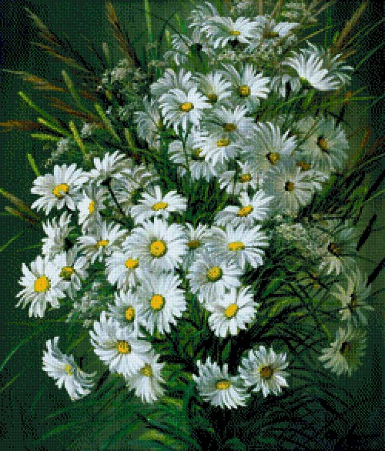 Ромашки - цветы. букет - предпросмотр