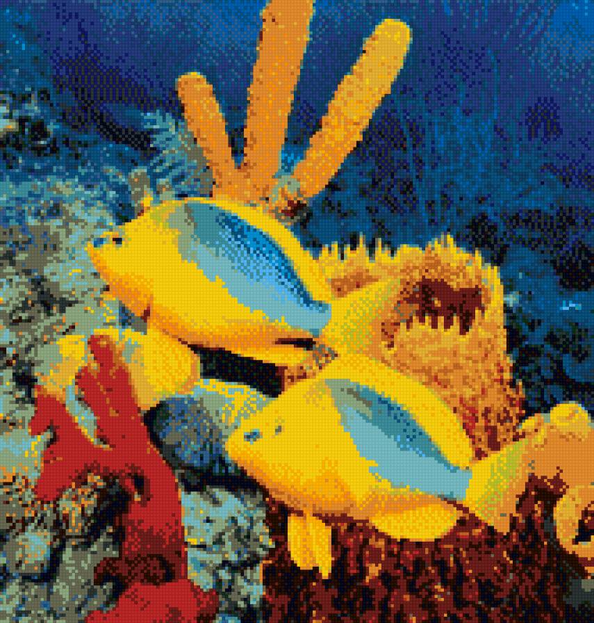 рыбы - предпросмотр