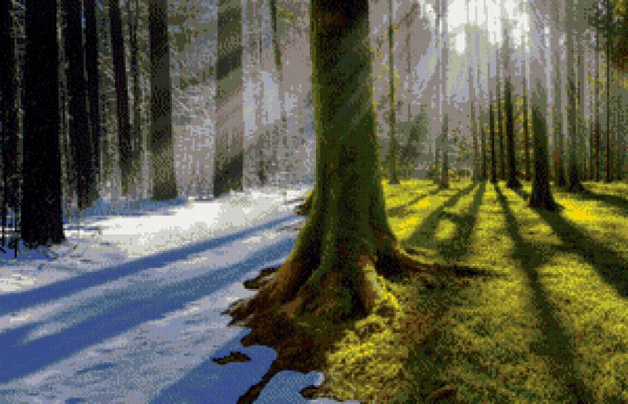Два времени - лес, сказка, лето, зима - предпросмотр