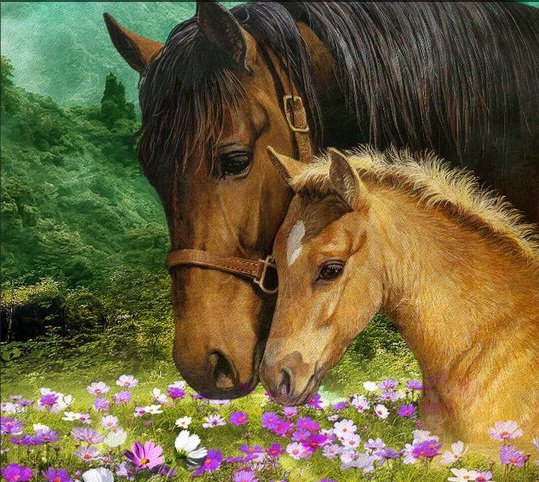на лугу - лето, кони, природа - оригинал