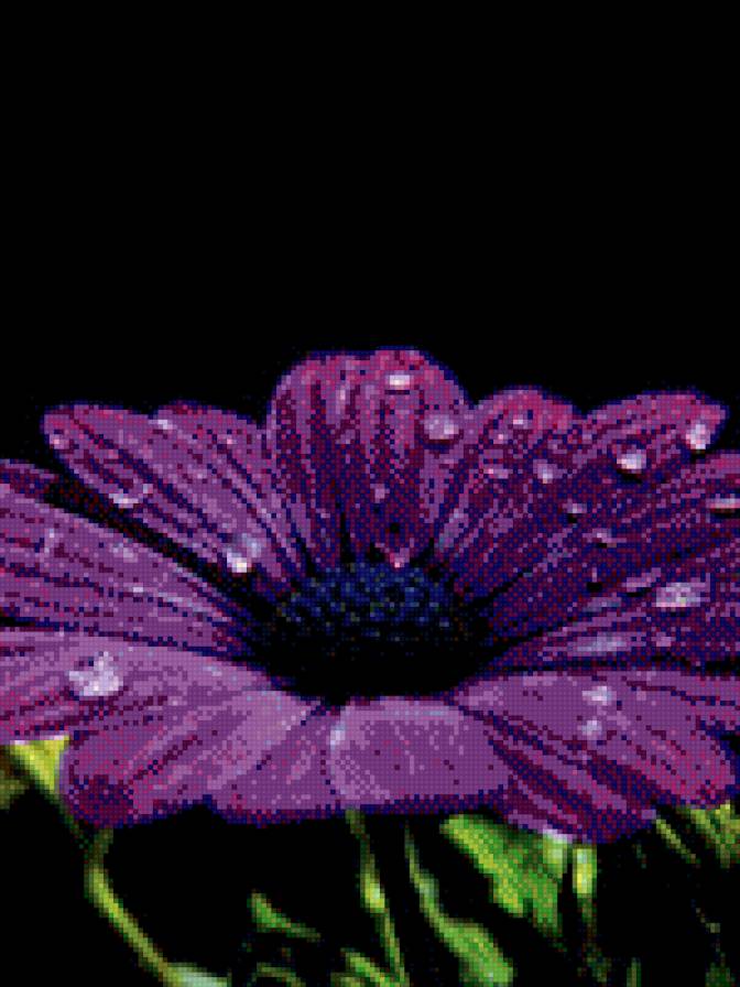 №468497 - предпросмотр