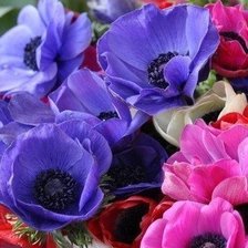 Схема вышивки «№468595»