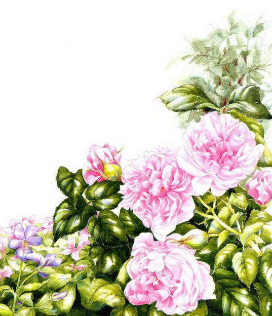 Пионы - букет, цветы - оригинал