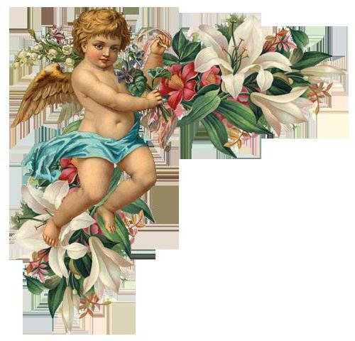 №468806 - оригинал