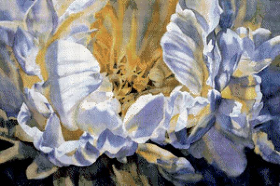 Серия "Букет" - пионы, цветы - предпросмотр