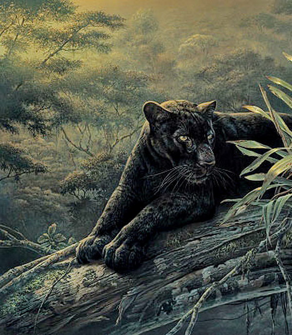 хозяйка джунглей часть 1 - пантера, джунгли, леопард, бабочка, хищник, живопись - оригинал