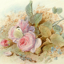 Оригинал схемы вышивки «бабочка на розе» (№469007)