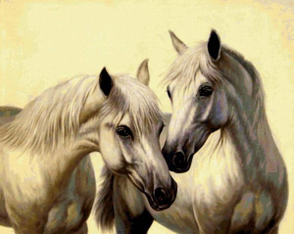 белые кони - лошади, кони - оригинал