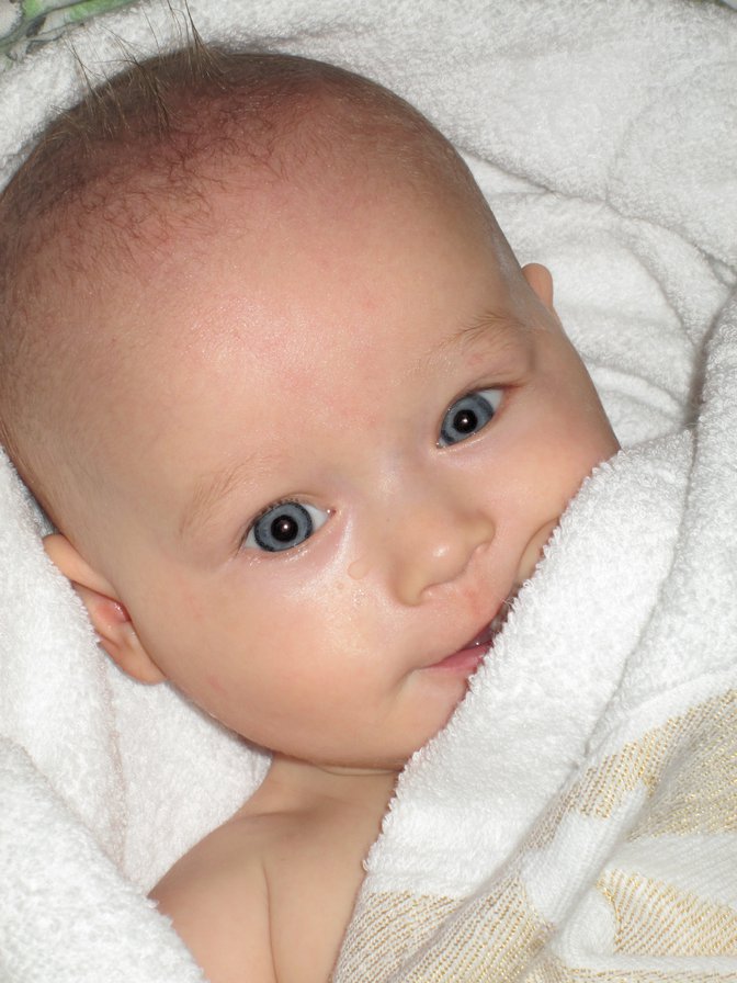 Сын - оригинал