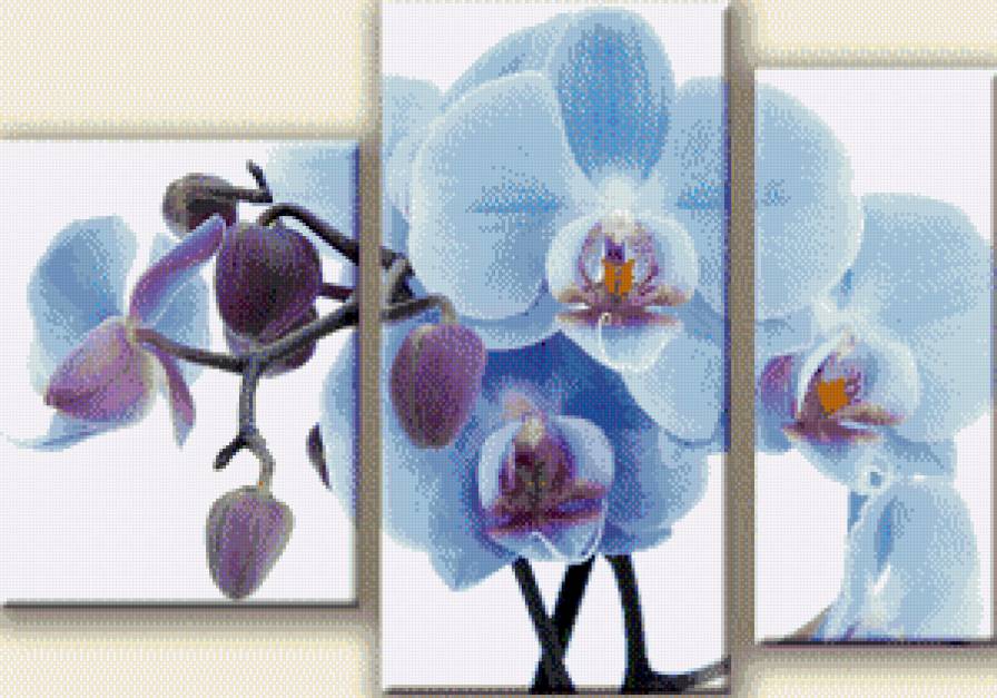 Орхидея - триптих - предпросмотр