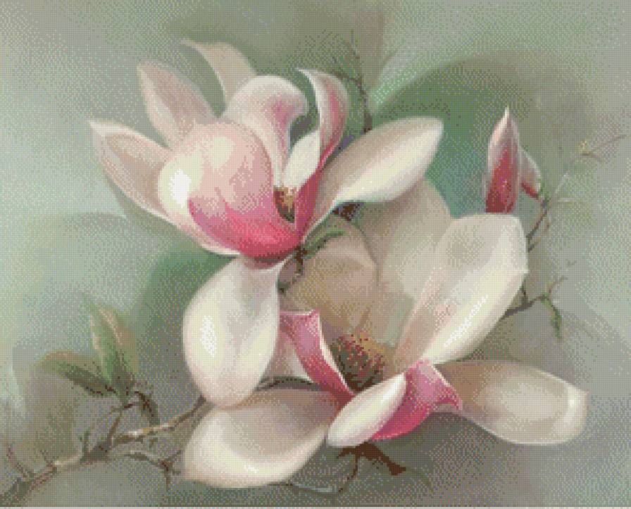Jill Kirstein - цветы, нежно - предпросмотр