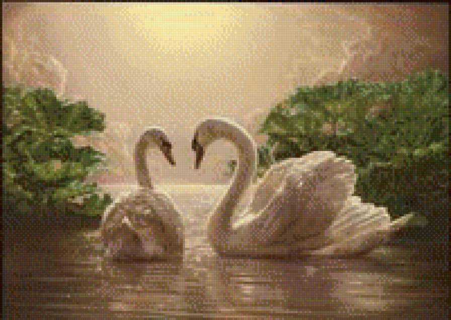 лебеди - птицы - предпросмотр