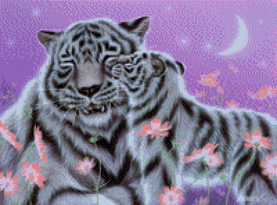 ласка - тигры - предпросмотр