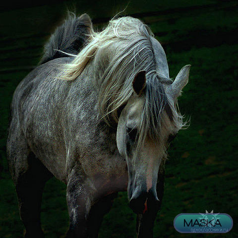 №469428 - оригинал