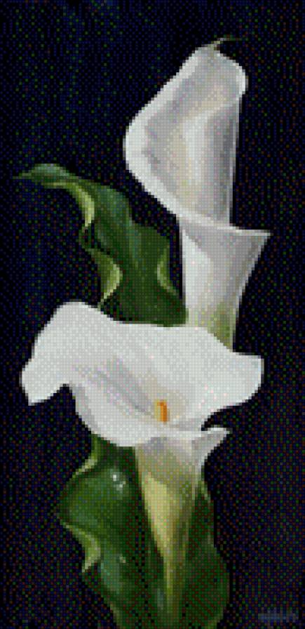 №469435 - предпросмотр