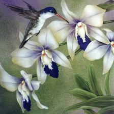 Оригинал схемы вышивки «№469440»