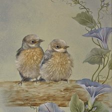 Схема вышивки «№469442»