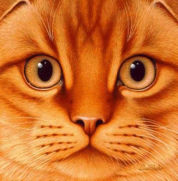 Рыжик - кот - оригинал