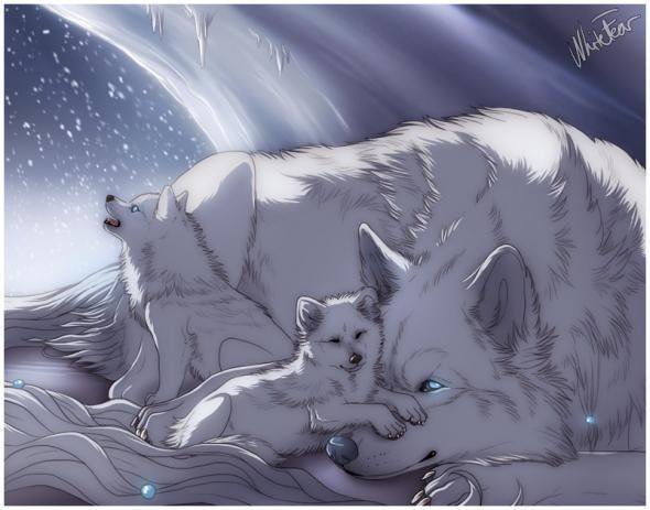 Волки - оригинал