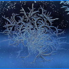 Схема вышивки «морозный узор»