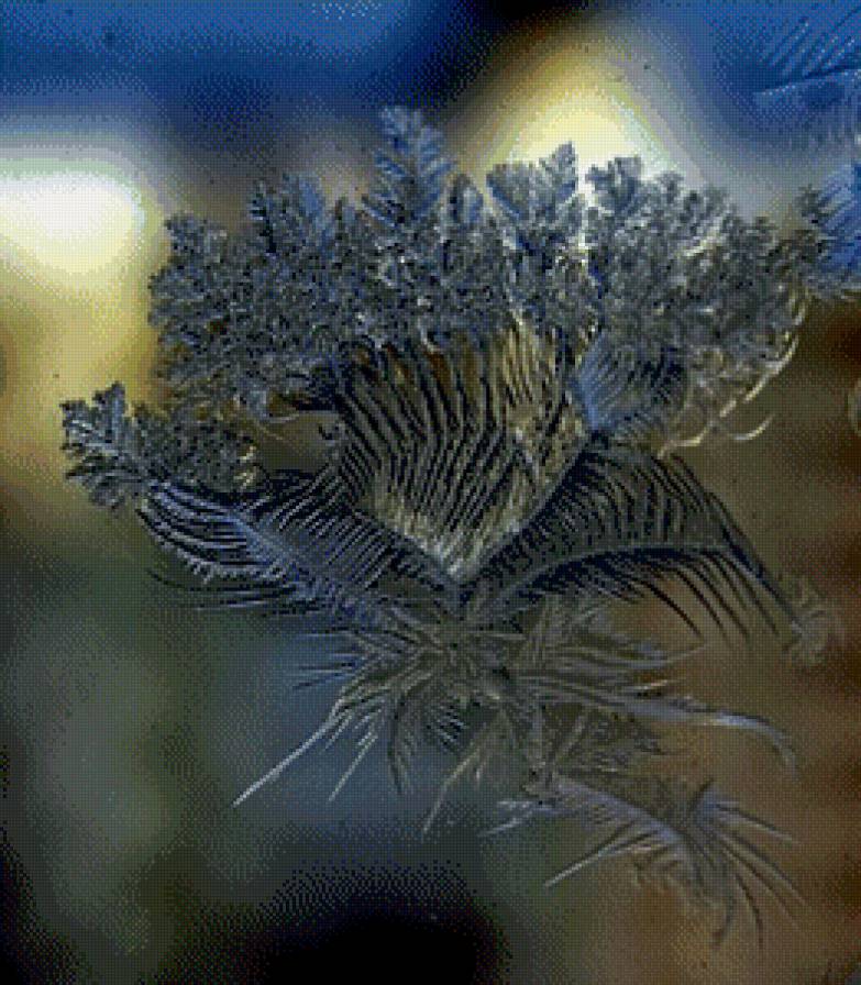 морозный узор 2 - предпросмотр