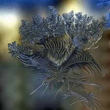 морозный узор 2