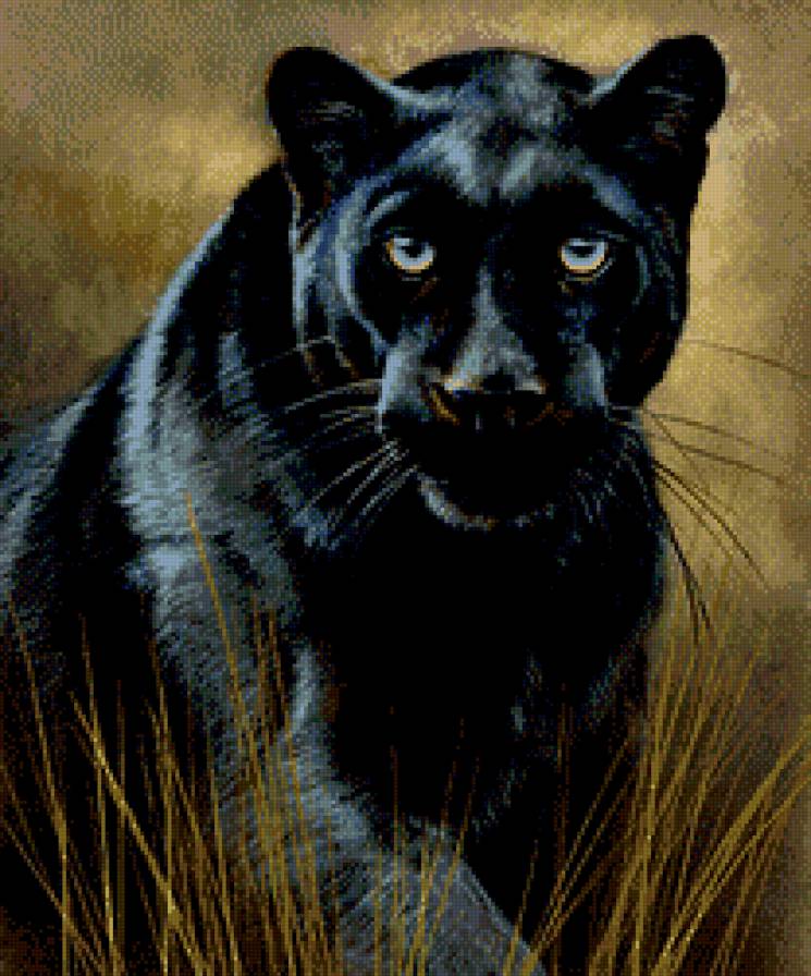 пантера - леопард, хищник, взгляд, живопись - предпросмотр