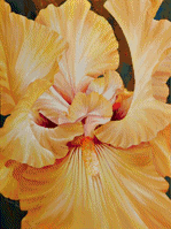 ирисы - живопись, цветы, ирисы - предпросмотр