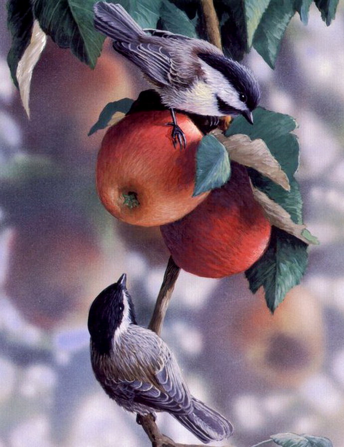 птицы - яблоко, природа, воробей, живопись - оригинал