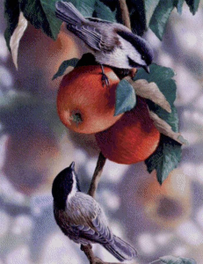 птицы - воробей, яблоко, природа, живопись - предпросмотр