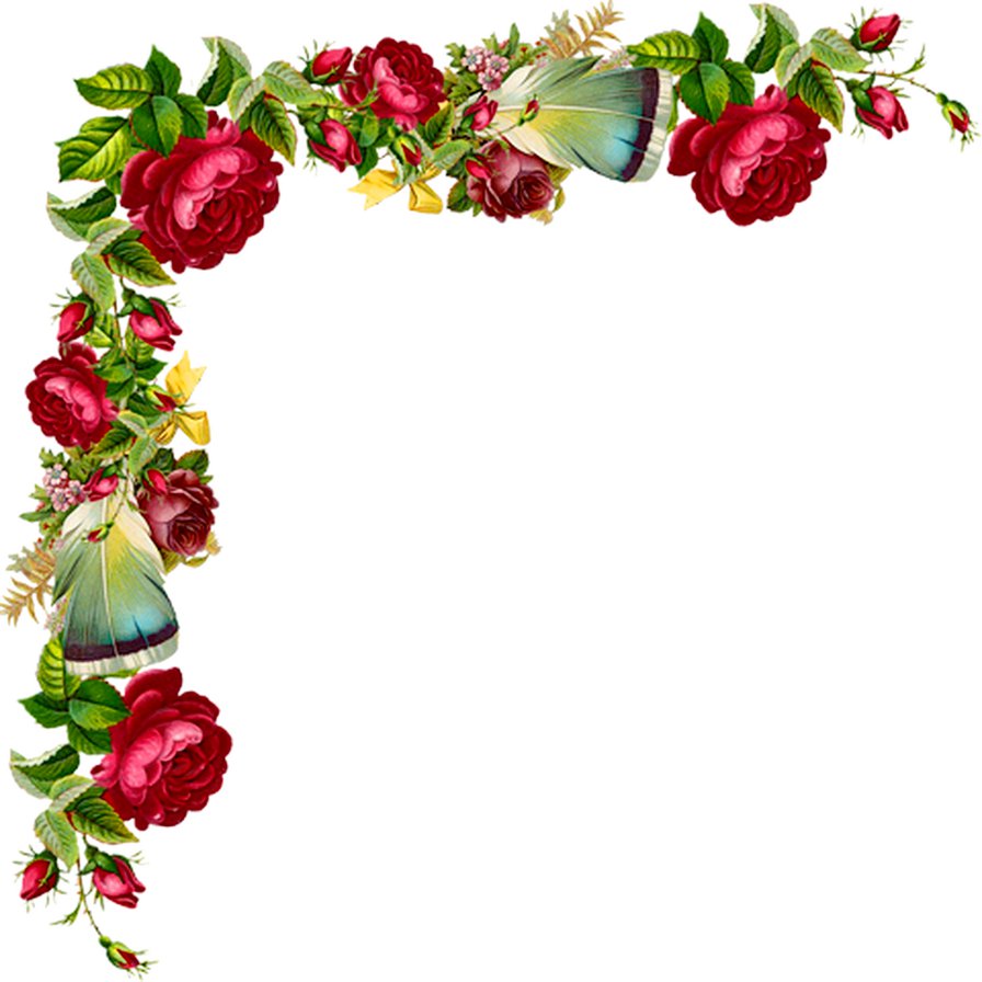 уголок - цветы, живопись, розы, перо, бант, роза - оригинал